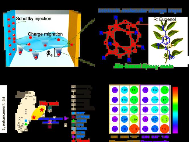 中科院寧波材料所劉小青團隊研發環保型電工環氧樹脂