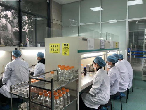 生物選考沖刺提分秘籍 高中生物實驗訓練營寒假開啟，助力未來生物基材料技術研發