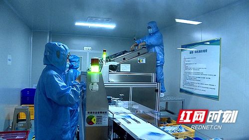 湖南省微生物學會赴安調研，推動生物基材料技術研發創新