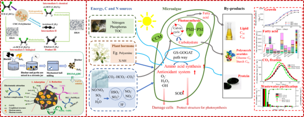 河北工業大學能源與環境工程學院 生物基材料技術研發的先鋒與未來